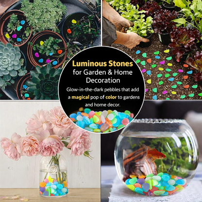 🔥Buy 1000 Get 1000 Free🔥Luminous Stones for Garden & Home Decoration