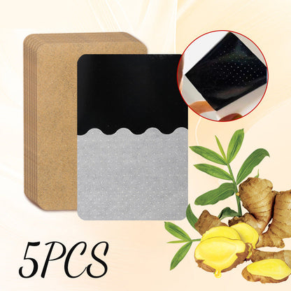 🔥5 Bags / Pack🔥Universal Moxibustion Plaster Patch for Whole Body