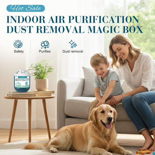 🔥 Limited-Time Pre-Sale⏰Indoor Air Purification Dust Removal Magic Box🏠🌿 -Remifa®