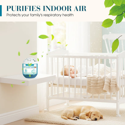 60%OFF🔥 Limited-Time Pre-Sale⏰Indoor Air Purification Dust Removal Magic Box🏠🌿 (Copy)
